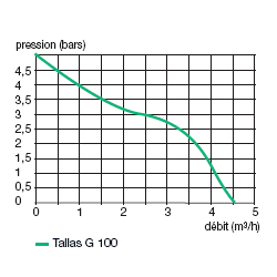 Tallas G 100