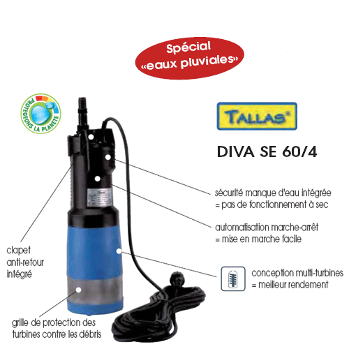 Tallas Diva SE 60/4