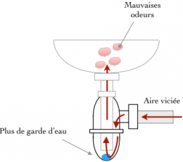 Siphon standard