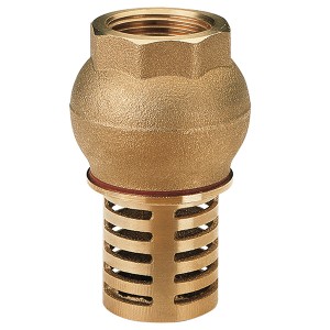 Clapet crépine laiton 1"1/2 - Clapet anti-retour - Générique