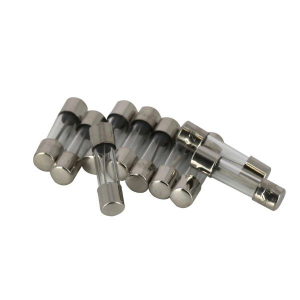 FUSIBLES (X10) 16A AQR - Pièces détachées - Hayward