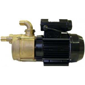 ART.515 - ENT 50 Triphasé - Pompe liquides spéciaux - Calpeda