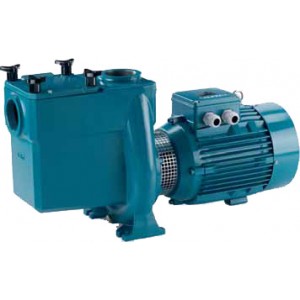 NMP 50/12 GE - Triphase - Pompe piscine - Calpeda