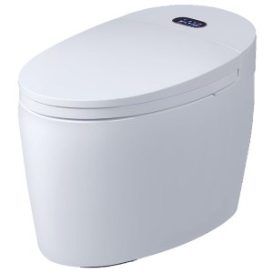 WC monobloc Luxe Diamond - WC japonais complet - TopToilet