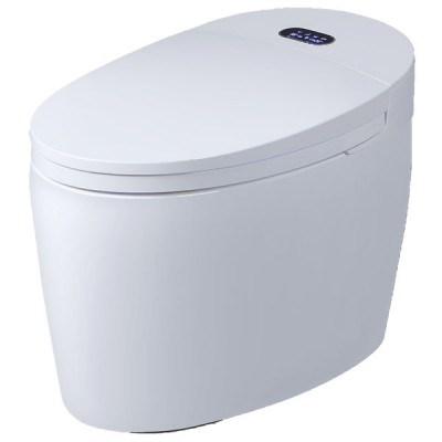  WC monobloc Luxe Diamond