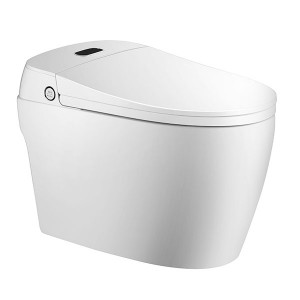 WC monobloc Luxe Sapphire - WC japonais complet - TopToilet