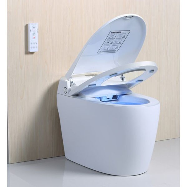 Les WC japonais, le luxe en matière de toilettes