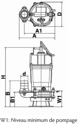 HSD2 - 55S