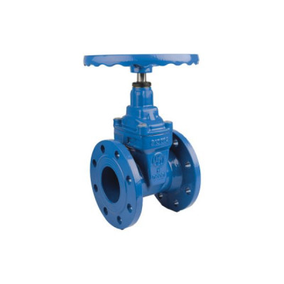  Vanne fonte EPDM - 180 - DN 100
